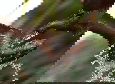 世界杯最佳阵容